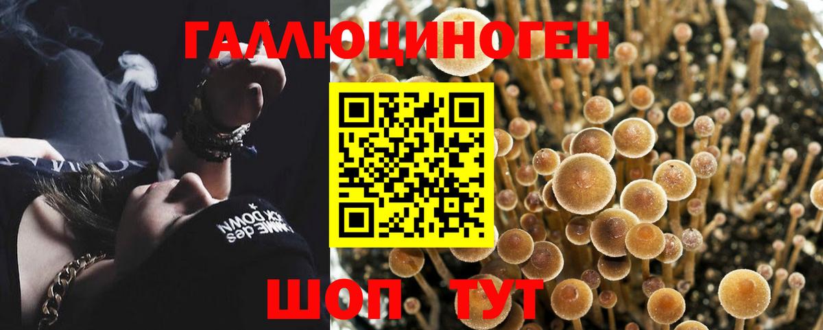 Псилоцибиновые грибы мухоморы Соль-Илецк